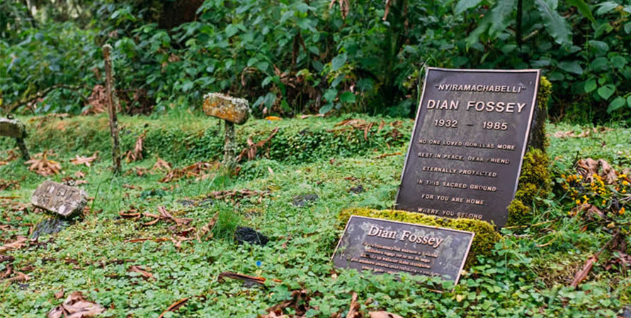 Dian fossey tomb